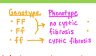 <ul><li><p>Dominant Alleles (capitalized letter) - only one copy needs to be present for its phenotype to be expressed</p></li><li><p>Recessive Alleles (lowercase letter) - both copies need to be present for its phenotype to be expressed</p></li></ul><p></p>