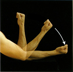 <p>Increase the angle between two body segments or returns a join from flexion towards anatomical position</p>