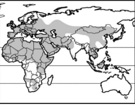 <p><strong><mark data-color="rgba(0, 0, 0, 0)" style="background-color: rgba(0, 0, 0, 0); color: inherit;">hedgehogs!</mark></strong></p><p>Infraclass Eutheria</p><p>Order: Eulipotyphla</p><p>Family Erinaceidae</p><p><span>foragers</span></p>