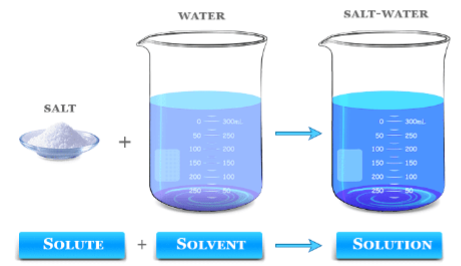 <p>SOLUTION</p>