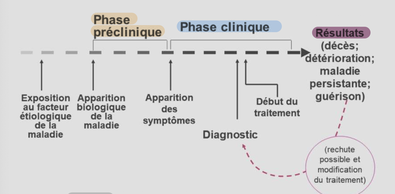 <p>Phase préclinique : Apparition biologique de la maladie et Apparition des sx</p><p>Phase clinique : Sx, Diagnostic et début du tx (rechute possible!)</p><p>Résultats: Décès, détérioration, maladie persistance, guérison</p><p></p>
