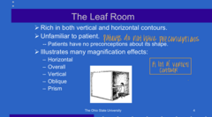 <p>The leaf room is rich in _____ and _____ contours</p>