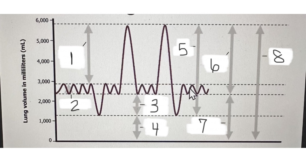 <p>What is shown at 2?</p>