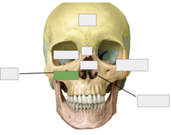 <p>This is the</p>