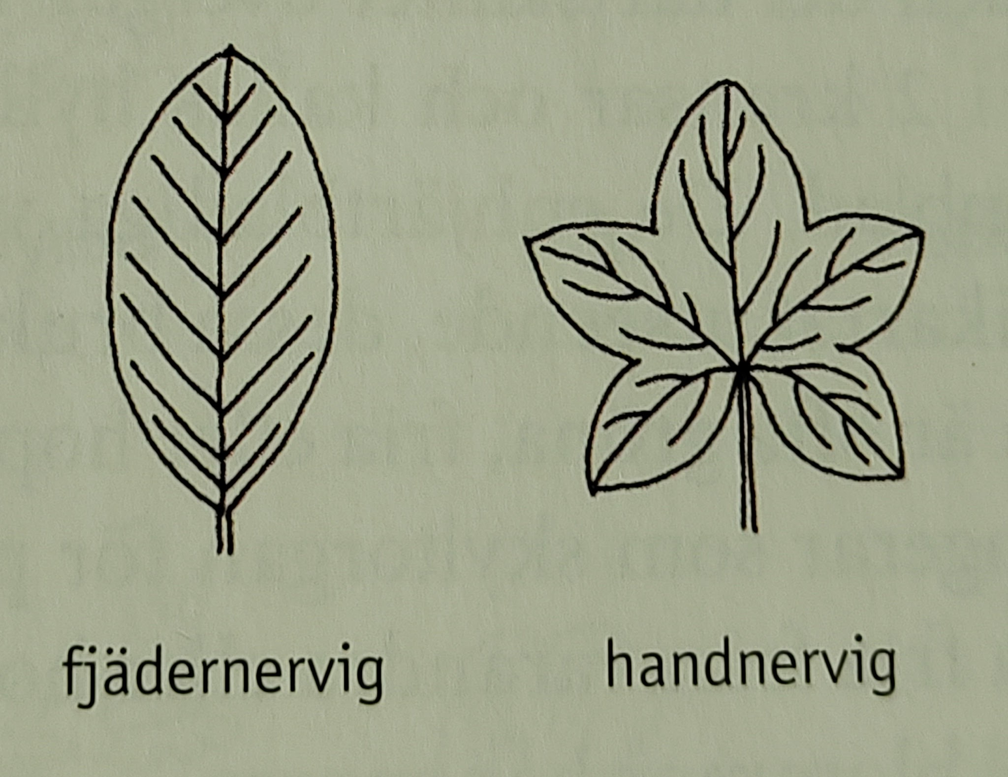 <p></p>