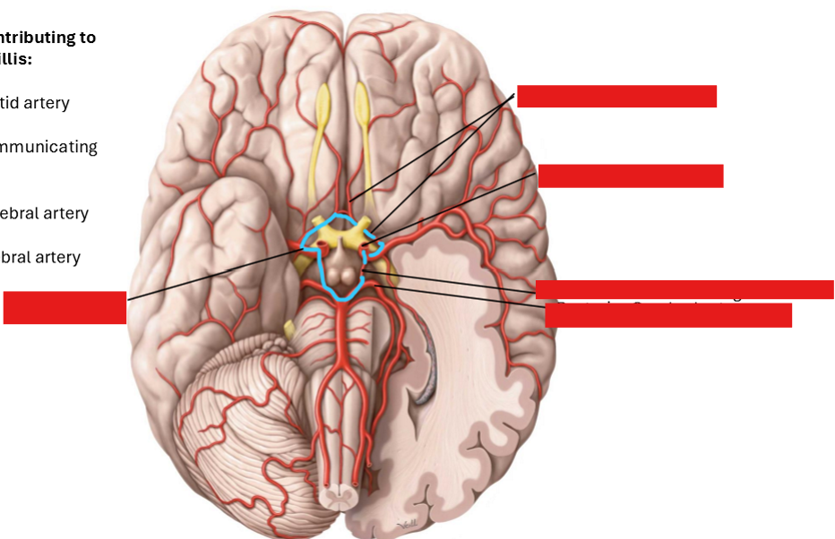 <p>Label this diagram</p>
