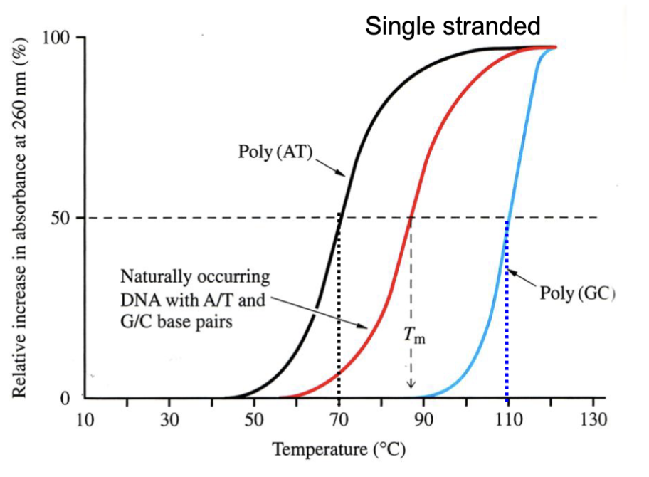 <p>The AT curve is farthest to the left, natural is in the middle, and GC curve is farthest to the left. Poly(AT) is the least thermally stable and poly (GC) is the most, and so natural DNA with an equal mix of both falls in between. The T<sub>m</sub> is higher in poly (GC).</p>