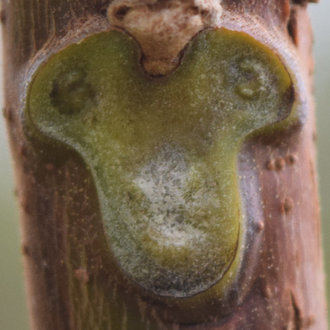 <p>What is this?</p>