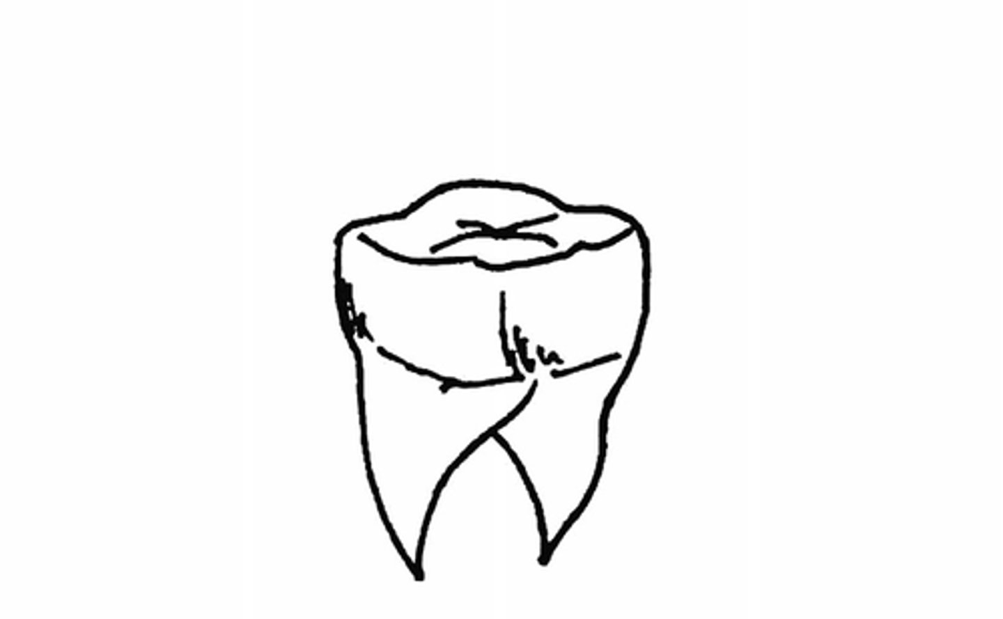 <p>nomen:</p><p>The part of the mouth used for biting</p>