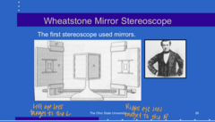 <p>The first stereoscopes used ______</p>