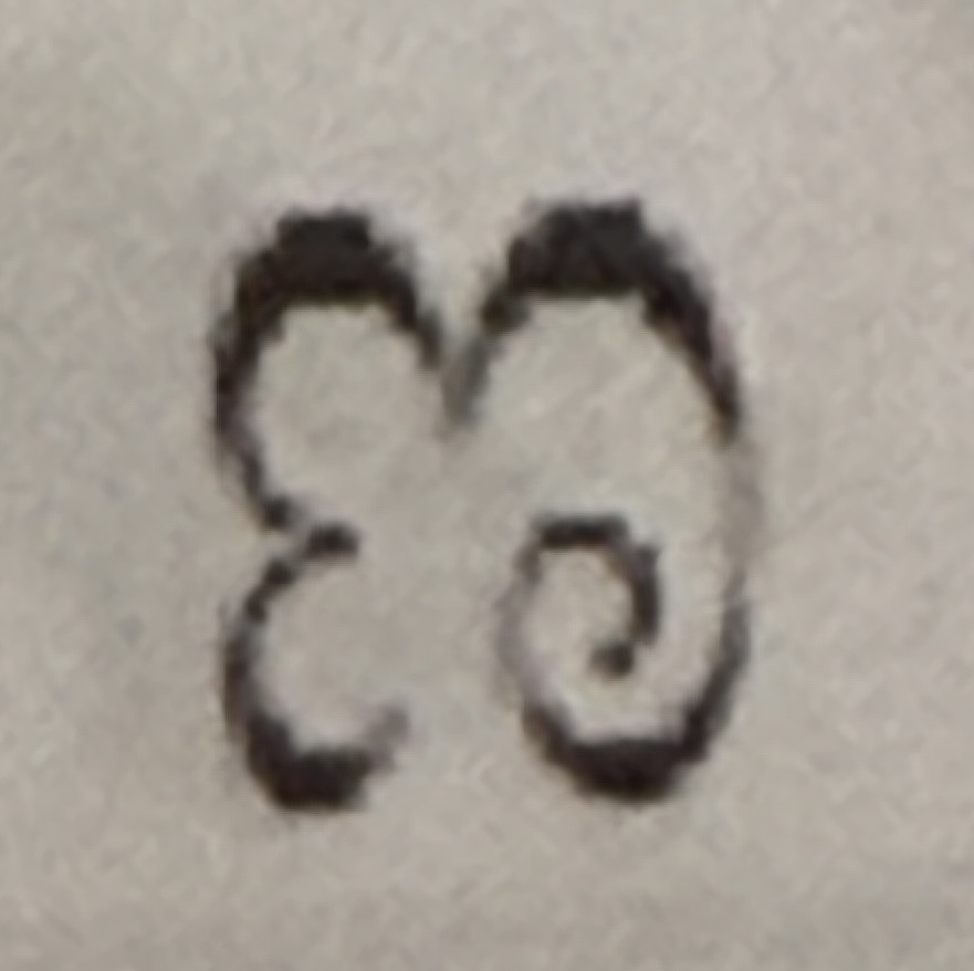 term image