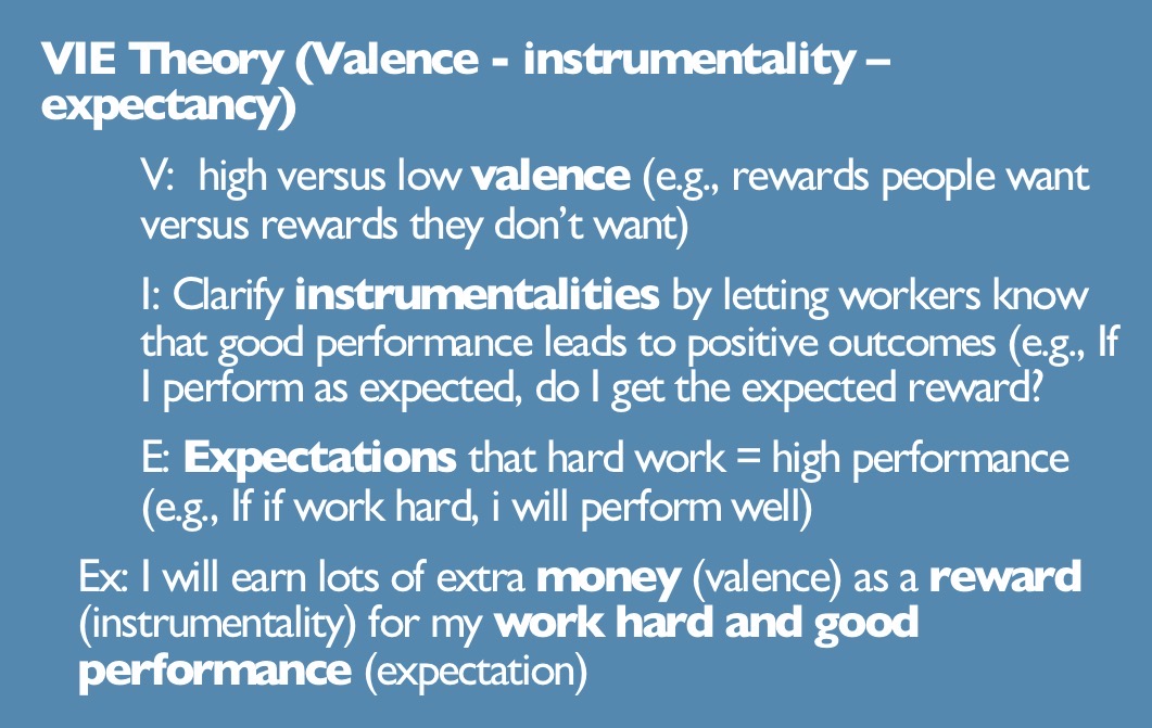 <p>VIE (valence - instrumentality - expectancy)</p>