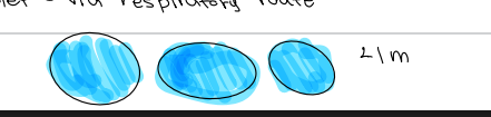 <p>b. Droplet</p>