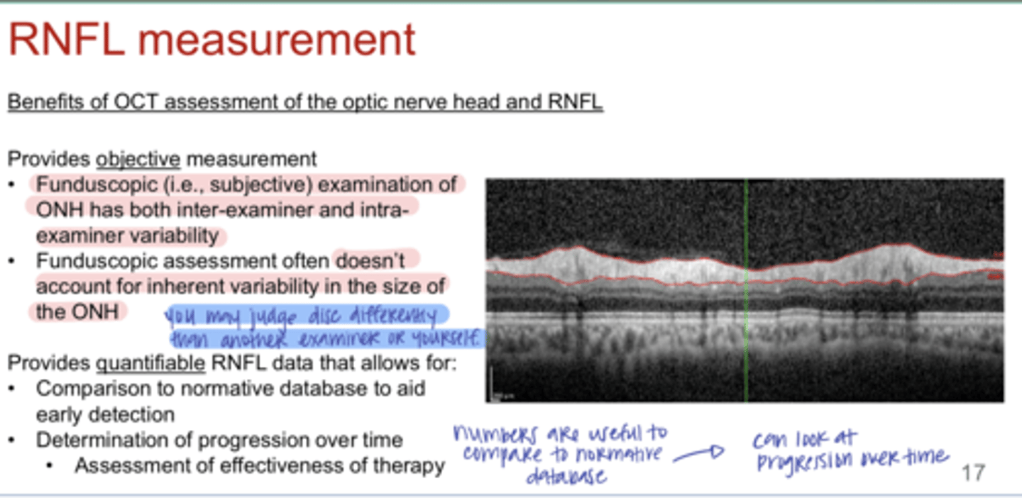 <p>Fundoscopic examination of the ONH will have both _____ and _____ variability</p>