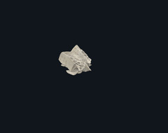 <p>Identify the Bone</p>