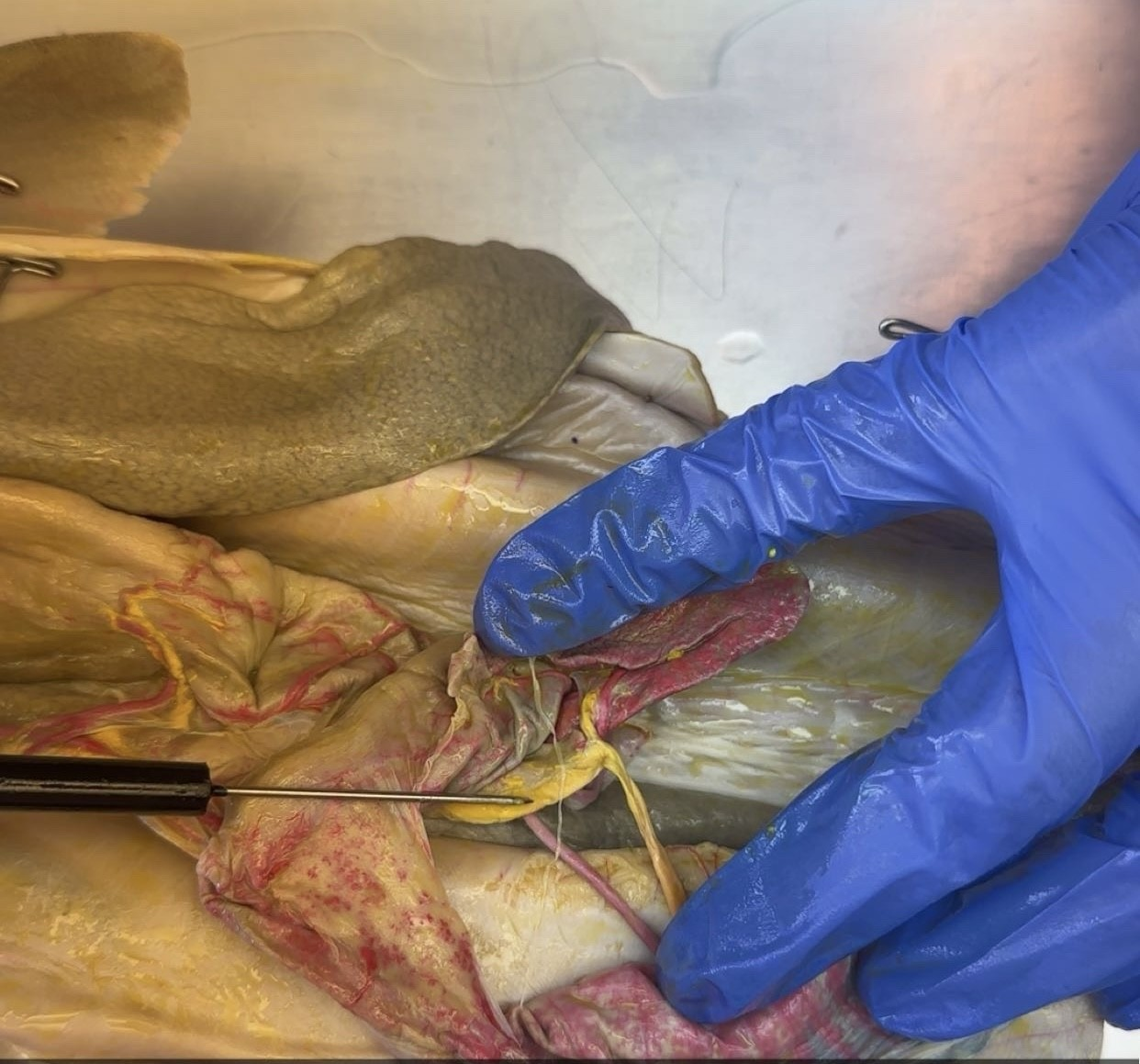 <p>what is this?</p>