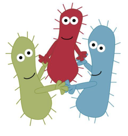 <ul><li><p>Gene expression can also be used as a means of communication between microbes.</p></li><li><p>This <strong><em>chemical signaling system</em></strong> is known as <strong><em>"quorum sensing."</em></strong></p><ul><li><p>The term refers to a number of members of a group that must be present in order to conduct business (a quorum).</p></li><li><p>Cells release <strong><em>autoinducer molecules</em></strong> into the environment as the population density increases.</p></li><li><p>Detecting changes in autoinducer levels causes <strong><em>regulation of gene expression.</em></strong></p></li></ul></li></ul><p></p>