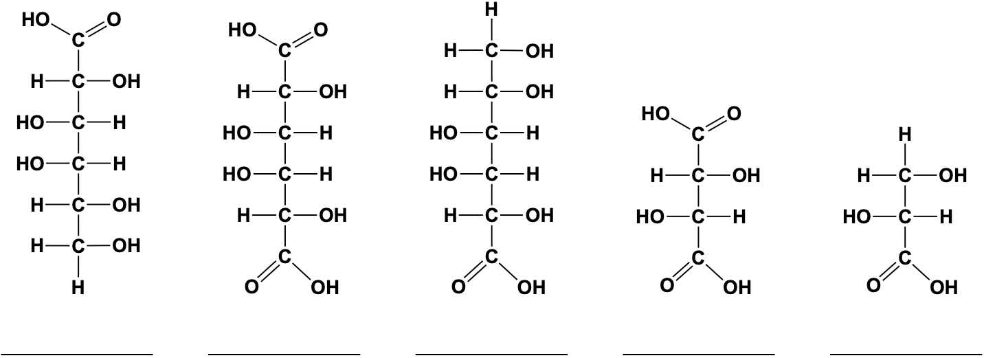 <p>simple sugars, monomer of carbohydrates</p><p>C, H, O in the ratio of Ch2O</p><ul><li><p>or a multiple: C6 H12 C6, glucose</p></li><li><p>triose: C3</p></li><li><p>pentose: C5</p></li><li><p>hexose: C6</p></li></ul><p>function: nutrients for cells (glucose), store energy in bonds, raw material for other organic molecules, to be polymerized into di and poly saccharides </p><ul><li><p>aldose or ketose sugars</p></li><li><p>enantiomer: different sugar, forms ring structure in solution</p></li></ul><p></p>