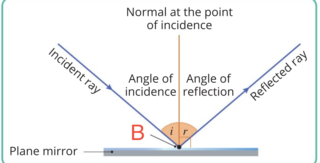 <p>What is B in this image?</p>