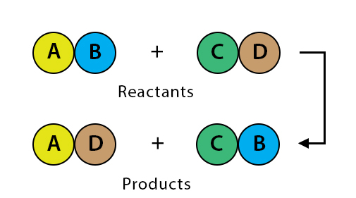 <p>What type of reaction is taking place?</p>