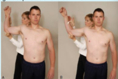 <p>Spring-back test at 90° abduction/max ER; tests teres minor and infraspinatus.</p>