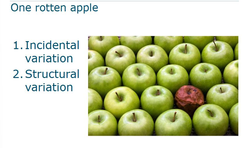 <p>What kind of variation is this?</p>