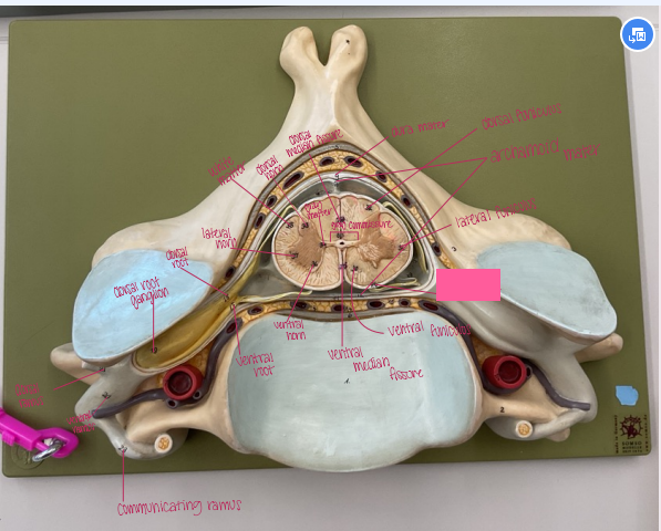 <p>What is being shown? </p>