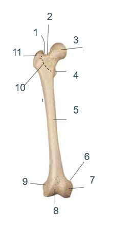 <p>9?</p>