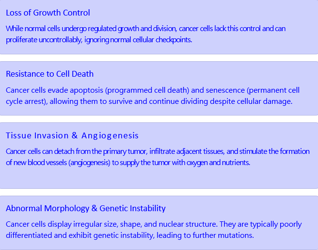 <ul><li><p>angiogenesis = making new blood vessels; if inhibited, then the cell cannot survive</p></li></ul><p></p>