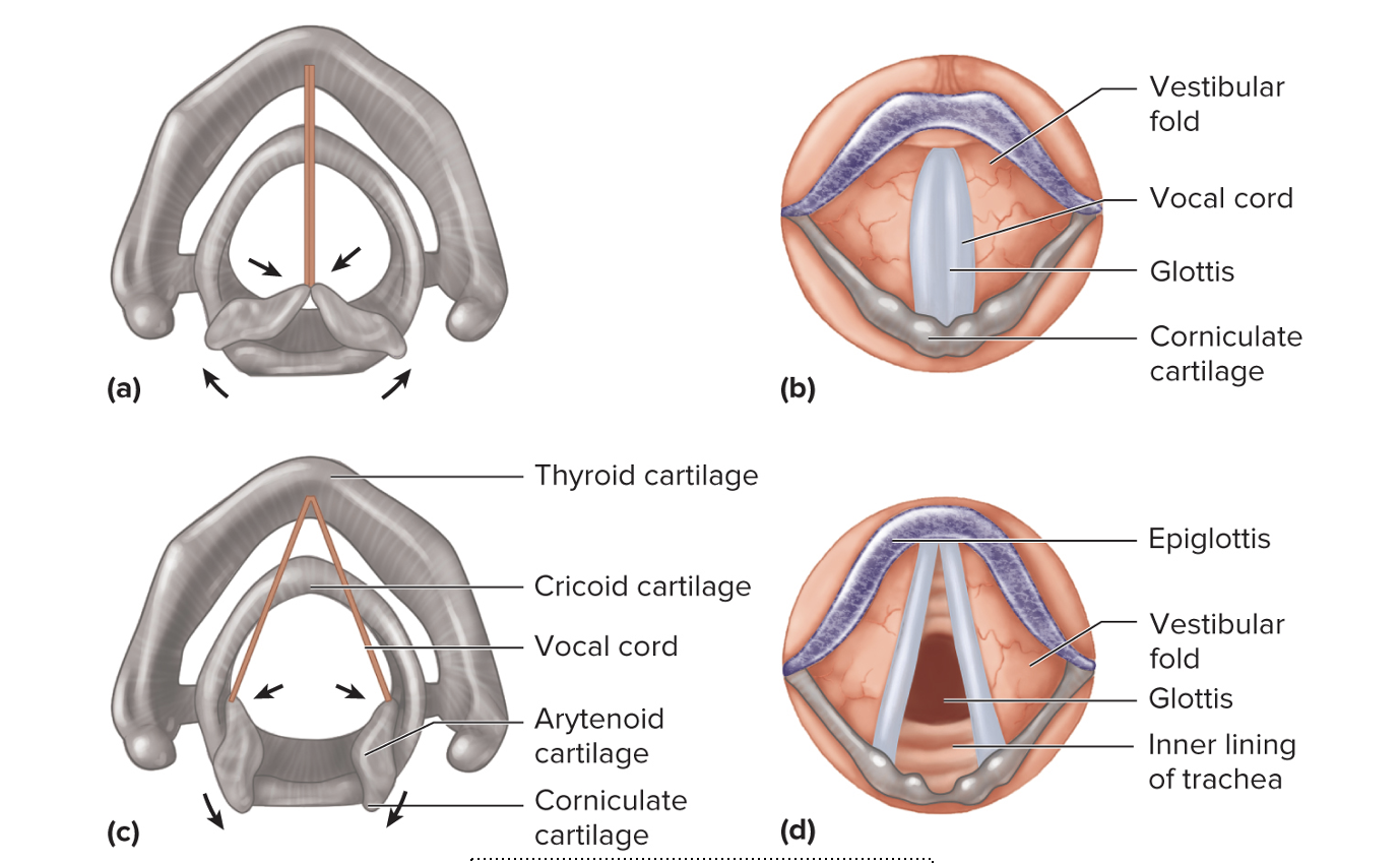 <p>Labeling of which system </p>