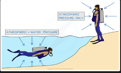 <p>An object submerged in a fluid experiences greater pressure on its bottom than its top — the difference in pressure creates a net upward force called upthrust</p>