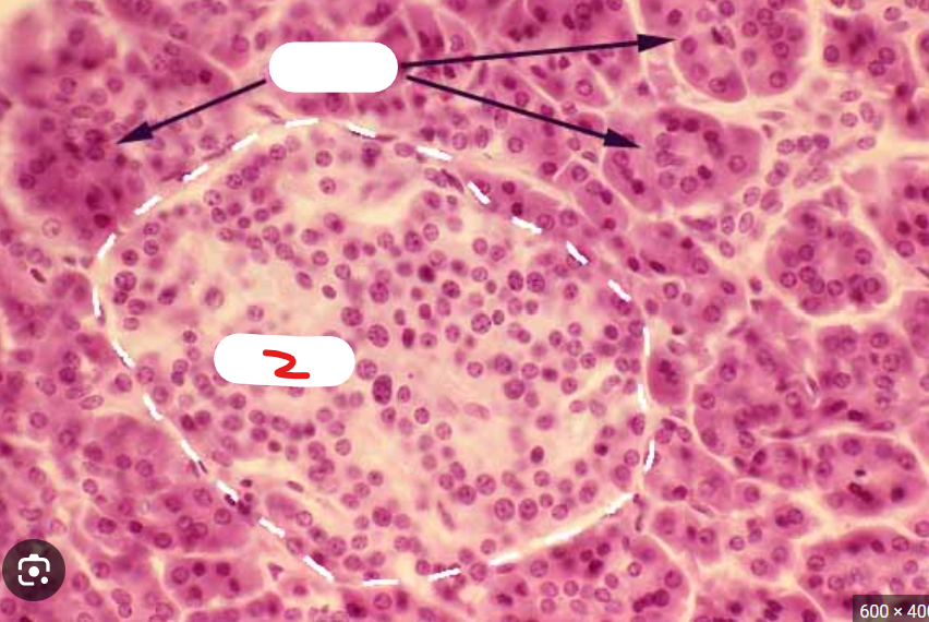 <p>What is number 2</p>