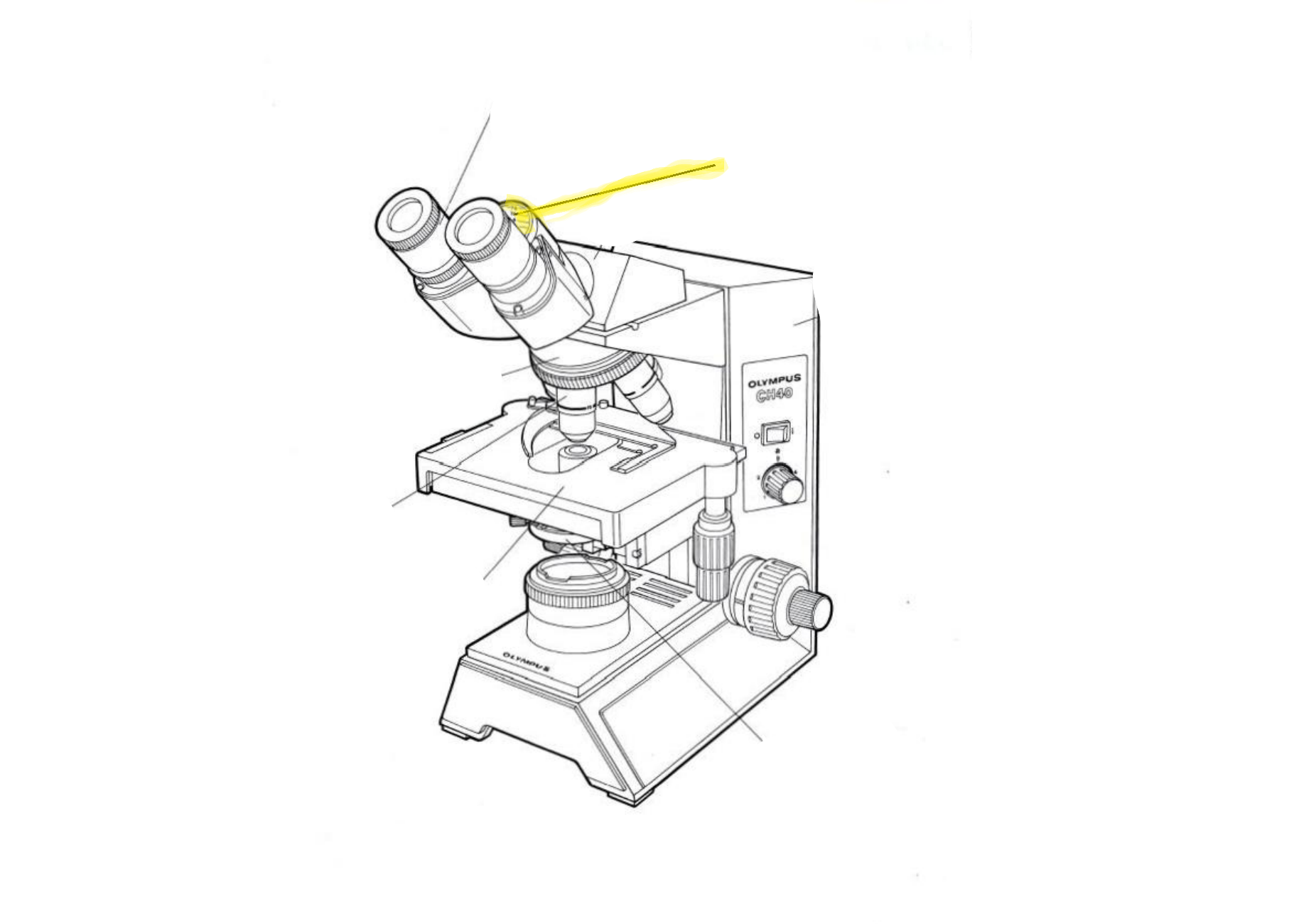 <p>Label the part of the microscope highlighted in yellow</p>