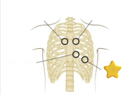 <p>What is this?</p>
