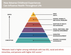 <p>Refers to the</p><p>cumulative burden</p><p>of chronic stress</p><p>and life events</p><p>which increases</p><p>chances of having</p><p>poor health</p><p>outcomes</p><p>Allostatic load is higher among individuals with low SES, racial and ethnic minorities, and persons with higher ACE scores</p>