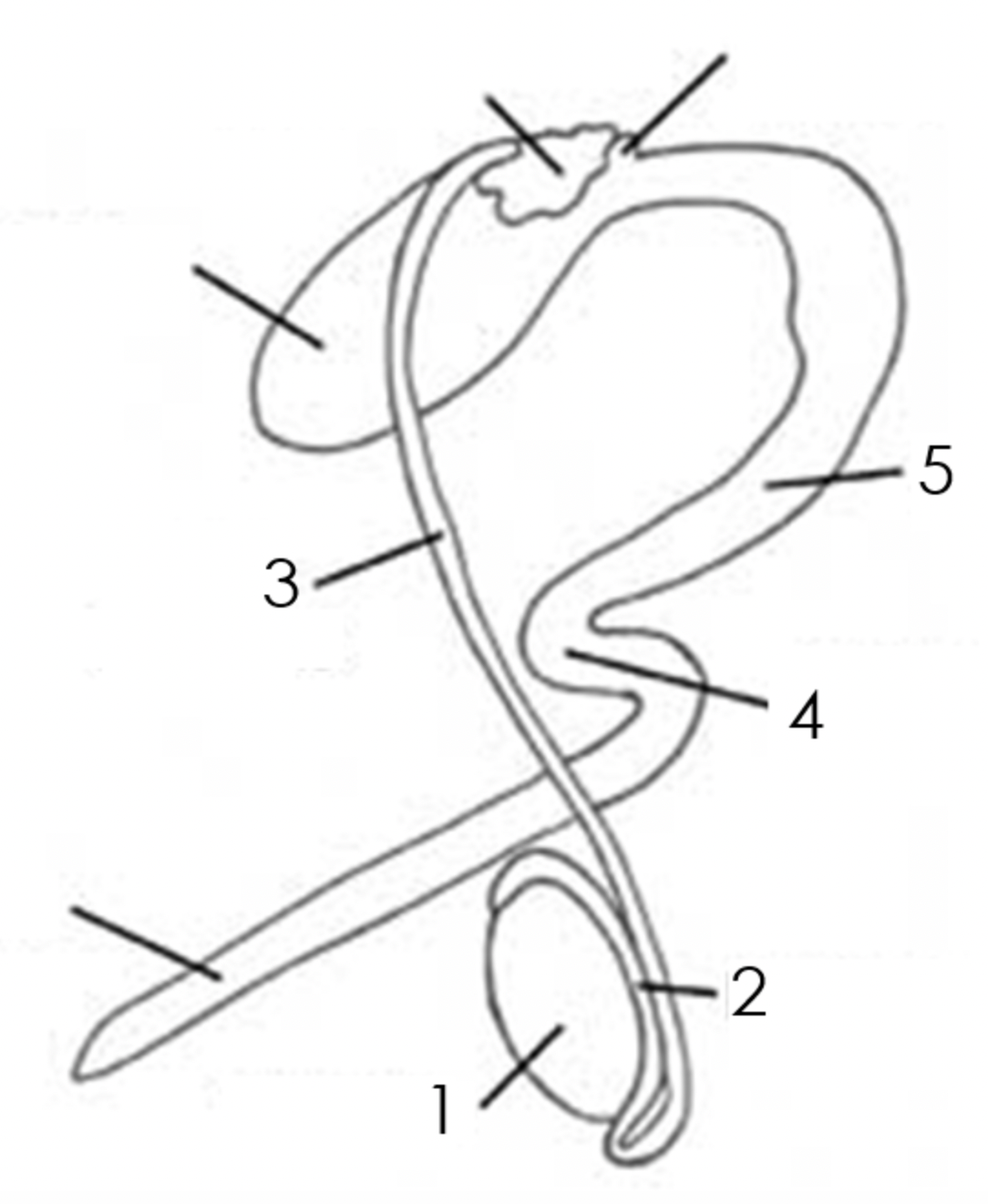 <p>3</p>