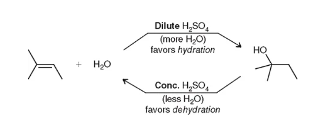 <p>diluted has water and will result in hydration, concentrated will result is the dehydration reaction</p>