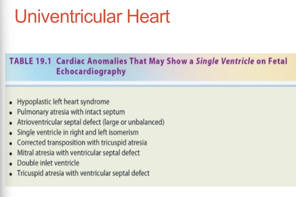 <p>Aka single ventricle •</p><p> 3 chambers – two atria and a single ventricle • </p><p>Rare condition</p>