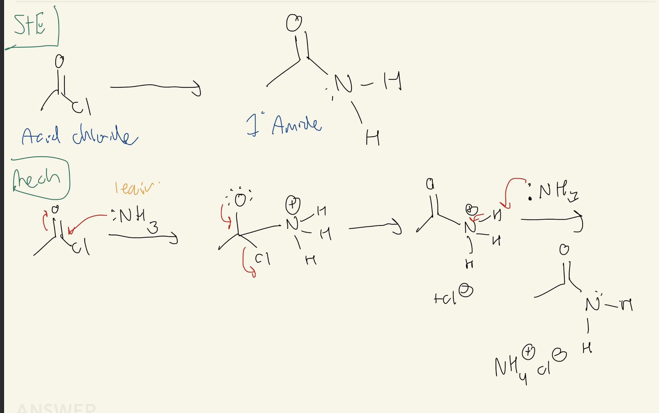 <p><strong>Acid Chloride → 1° Amide</strong></p>