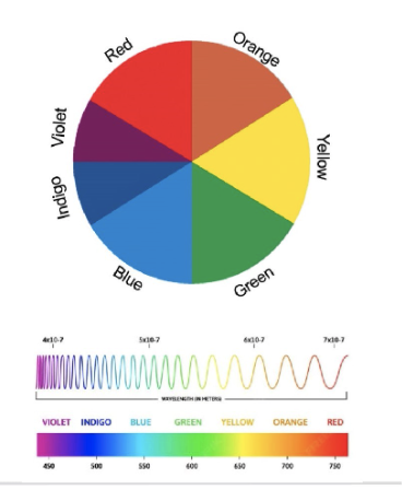 <p>white light! rem. white light is actually ALL the colors. so ROYGBIV is white.</p>