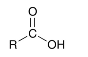 <p>carboxylic acid</p>