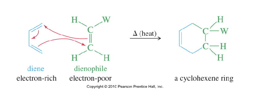 <p>→one-step, concerted mechanism</p><p>→A diene reacts with an electron-poor alkene (dienophile) to give cyclohexene or cyclohexadiene rings.</p>