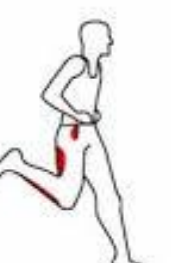 <p>what phase of running is this </p>