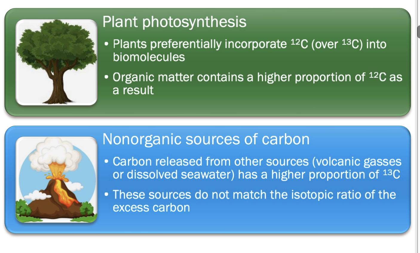 <ul><li><p>carbon released from other sources (volcanic gasses or dissolved seawater) has higher proportion of 13C</p></li><li><p>sources do not match the isotopic ratio of excess carbon</p><ul><li><p>too little 13 C in atm</p></li></ul></li></ul><p></p>