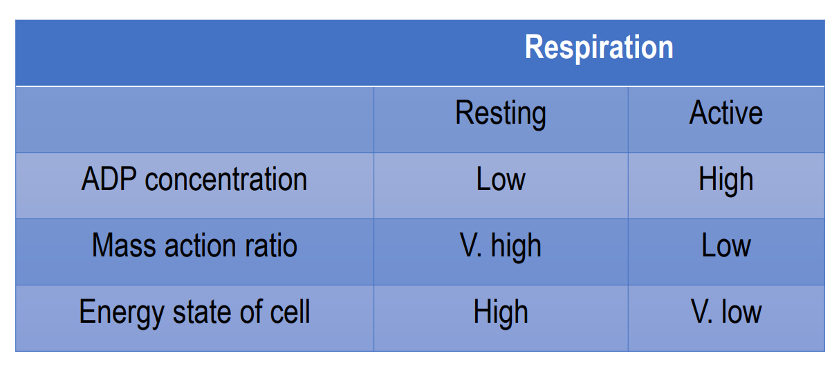 <p>How is oxidative phosphorylation controlled?</p>