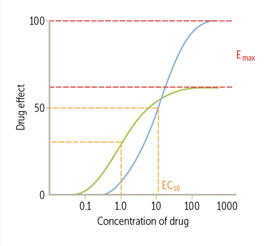 <ul><li><p>Emax: the maximum effect of the drug — efficacy is a measure of the maximal response a drug can produce</p></li><li><p>A drug with a higher Emax is more effective at its ceiling</p></li><li><p>Potency: the concentration at which a drug produces its half-maximal effect (EC50, or 50% of Emax) </p></li><li><p>A more potent drug achieves its EC50 at a lower concentration — less drug is required for it to act</p></li></ul><p></p>
