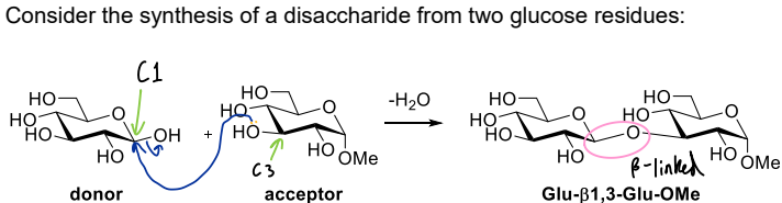<p>Challenges in glycosidic bond formation: <u>Reactivity</u></p>