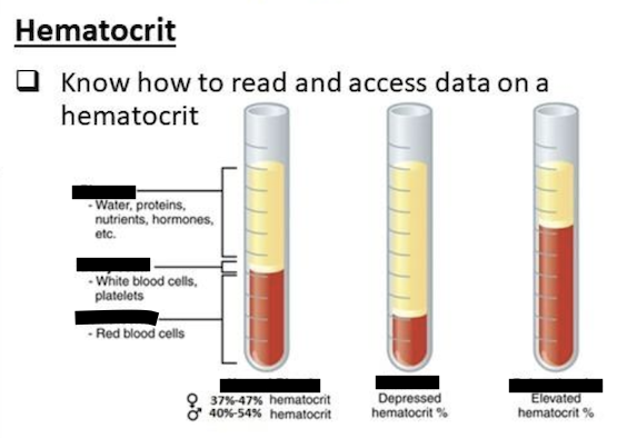 <p>Hematocrit Diagram</p>