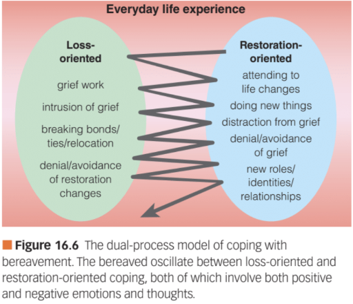 <p>a person oscillates b/t <strong>loss</strong> and <strong>restoration</strong> when coping a death</p>