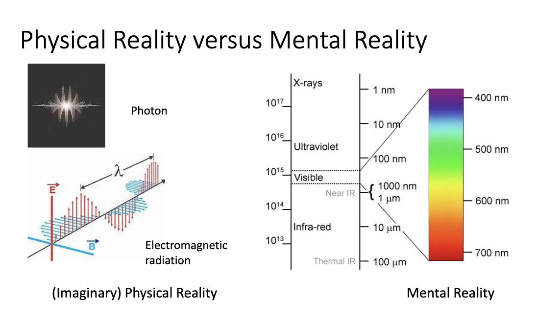 <p>What are the two types of reality </p><ul><li><p>Physical (imaginary) </p></li><li><p>Mental  </p></li></ul><p></p>